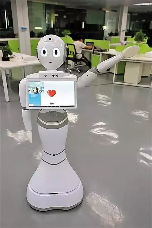 產(chǎn)品與技術(shù)服務(wù)驅(qū)動(dòng) 機(jī)器人在多場景的落地應(yīng)用